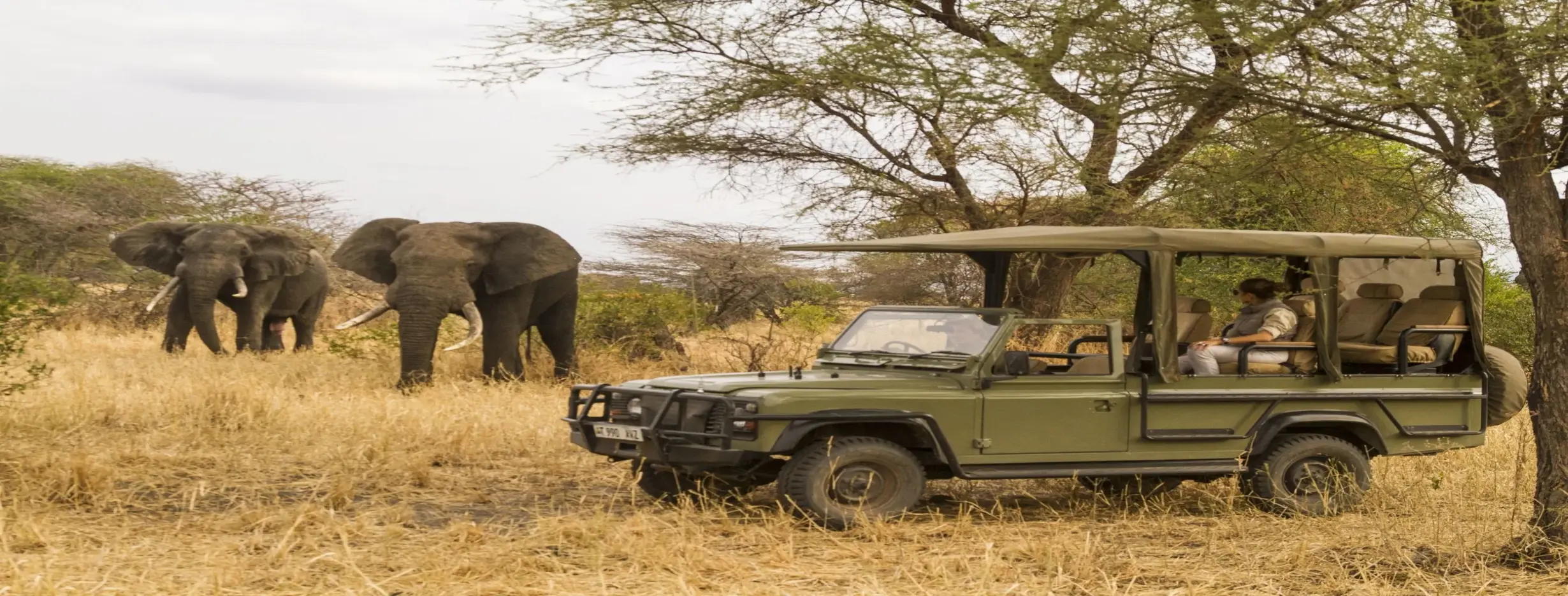 Image for Adventure Safaris